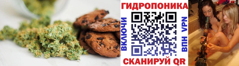 Купить где  Большой Камень  Cannafood конопля 