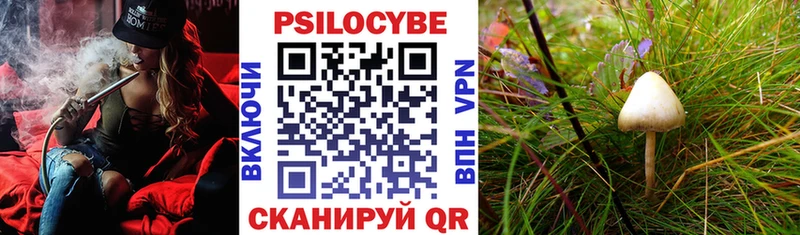 Галлюциногенные грибы Psilocybine cubensis Купить где Большой Камень